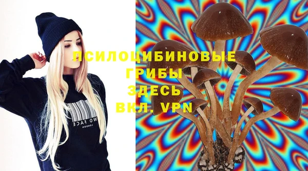твердый Армянск